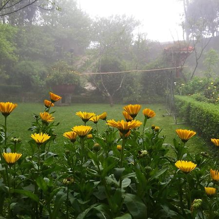 Sapa Garden Bed And Breakfast Exterior photo