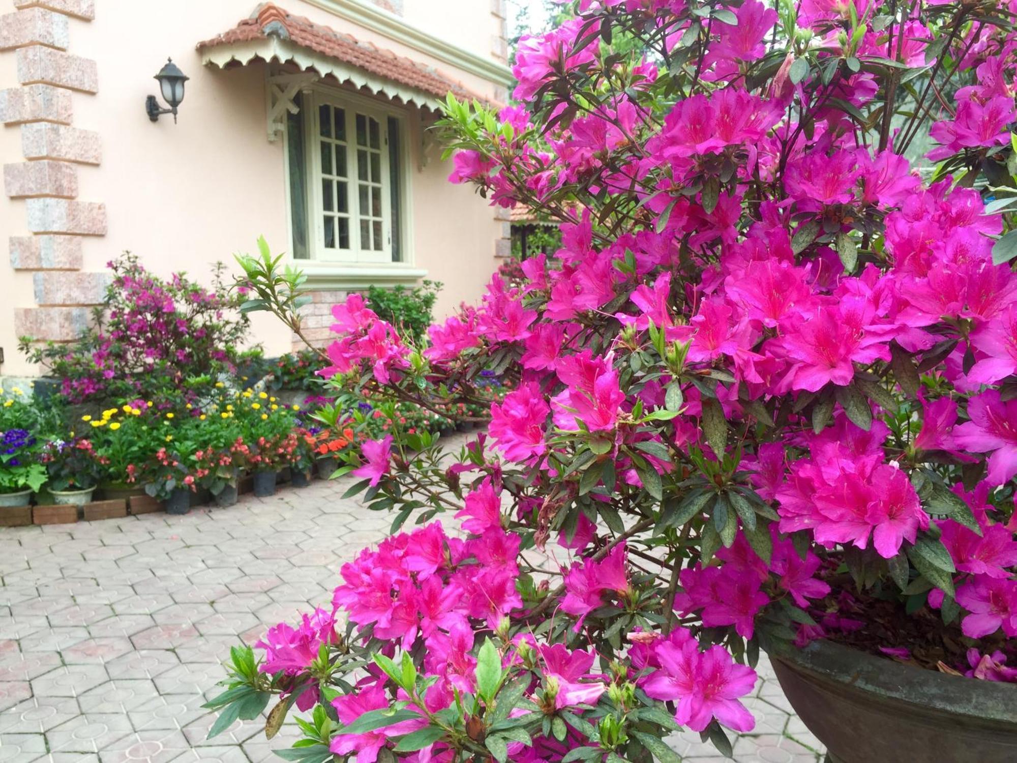 Sapa Garden Bed And Breakfast Exterior photo