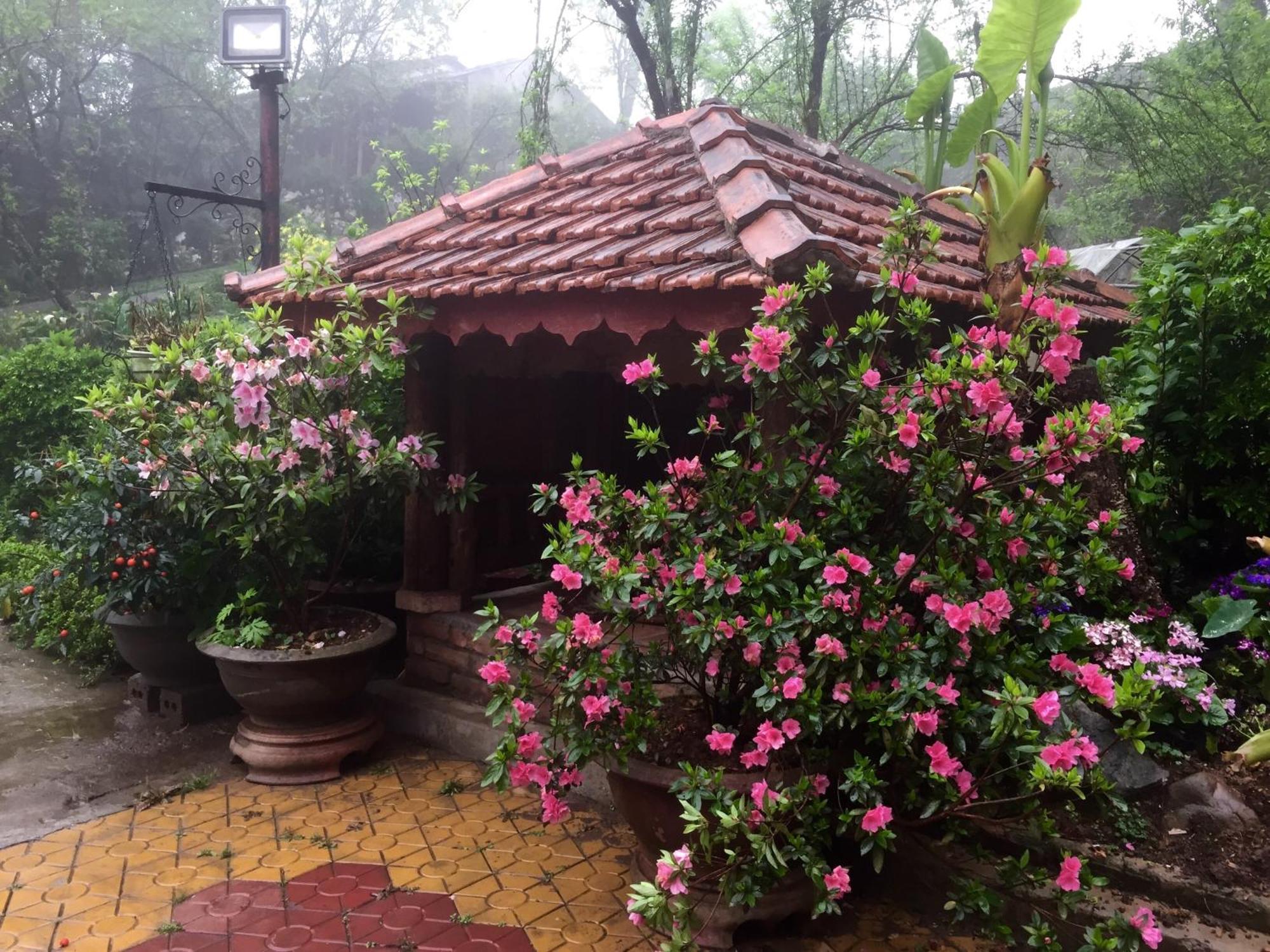 Sapa Garden Bed And Breakfast Exterior photo