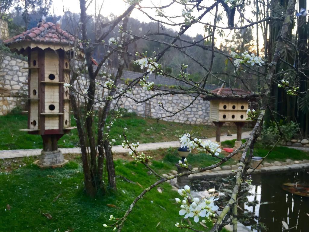 Sapa Garden Bed And Breakfast Exterior photo